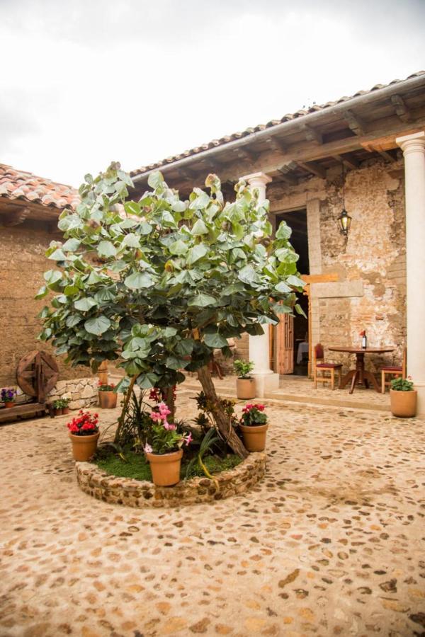 Hotel Casa De Gandhi San Cristóbal de Las Casas Zewnętrze zdjęcie